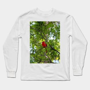 Perched Cardinal Long Sleeve T-Shirt